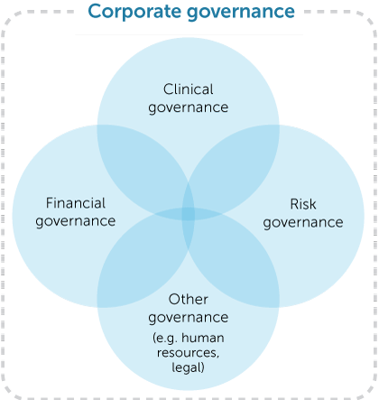 Figure 2: Corporate governance responsibilities