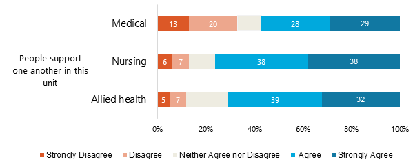 Stacked bar chart showing percentage of agreement separately for health workers for one item.