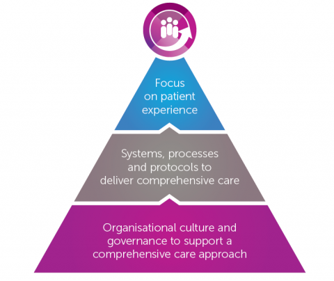 Conceptual model for Comprehensive Care